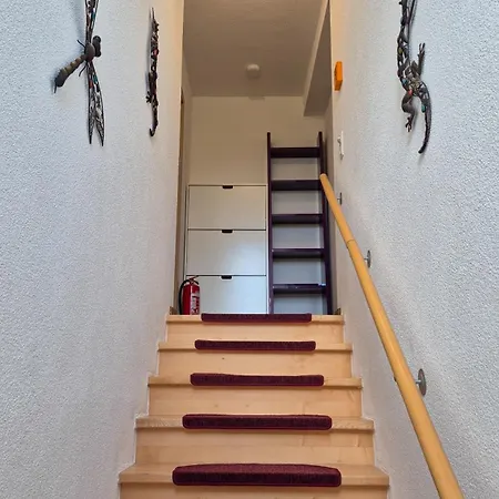 Апартаменты Medicus Incl Summer Card *